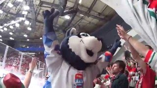 Best fans in Saint Petersburg IIHF 2016 - Team Hungary