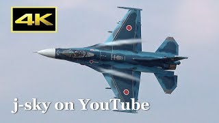 航空機写真集 AIRSHOW Los Angeles Air show おまけ ～ ノーズアート集 2019 - 模型じ