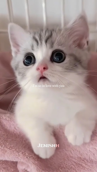 Connie Francis - Pretty Little Baby #lyrics #music