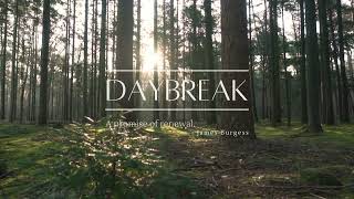 DAYBREAK - The first flush of morning. Tranquil environment. Nature video