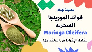فوائد المورينجا السحرية Moringa Oleifera  ومخاطر الإفراط فى استخدامها