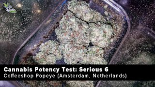 Purpl Pro Cannabis Potency Analysis: Serious 6 at Popeye Coffeeshop (Amsterdam)