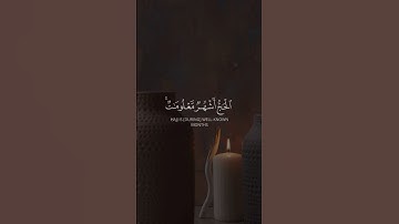 ☘️الحج أشهر معلومات 🎙️بصوت القارئ : فهد البواردي 📖سورة البقرة 💫|الآية |{197}|