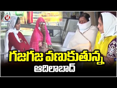Cold Wave Grips Adilabad as Temperatures Plunge | V6 News - V6NEWSTELUGU
