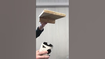 Gilbertson Bluebird House