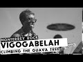 Vigogabelah - Climbing the Guava Tree - Café Iguana