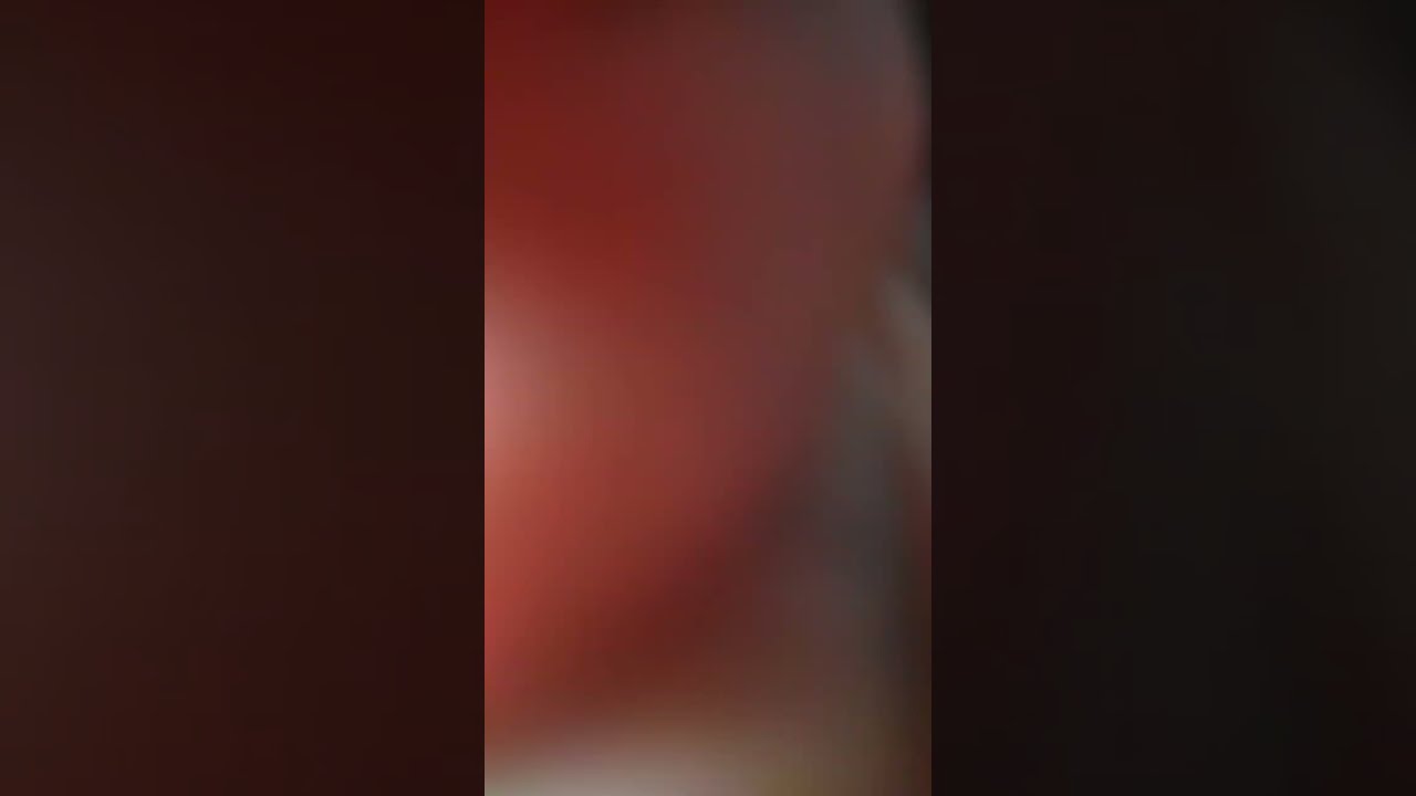 January 11, 2026, January 4th, 2026