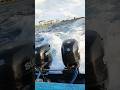 Maldives Safari Maldives Vlog| Rehan log Maldives 2 Vilingili #vilimale #ship #maldivian #fushi