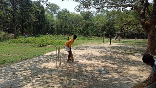 Cricket Play With My Local Friends