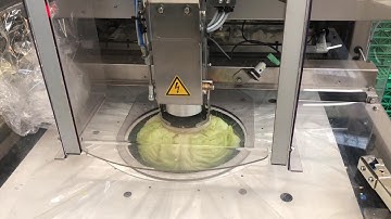 Choudou or Cabbage packaging line