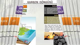 Ekosi̇stem, Enerji̇ Akişi Ve Madde Döngüleri̇