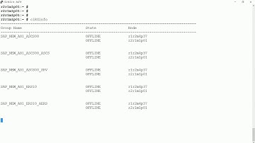 PowerHA on Linux Smart Assist Operations for SAP NetWeaver ABAP or JAVA