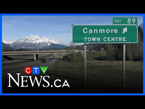 Off-leash dog kills deer in Canmore