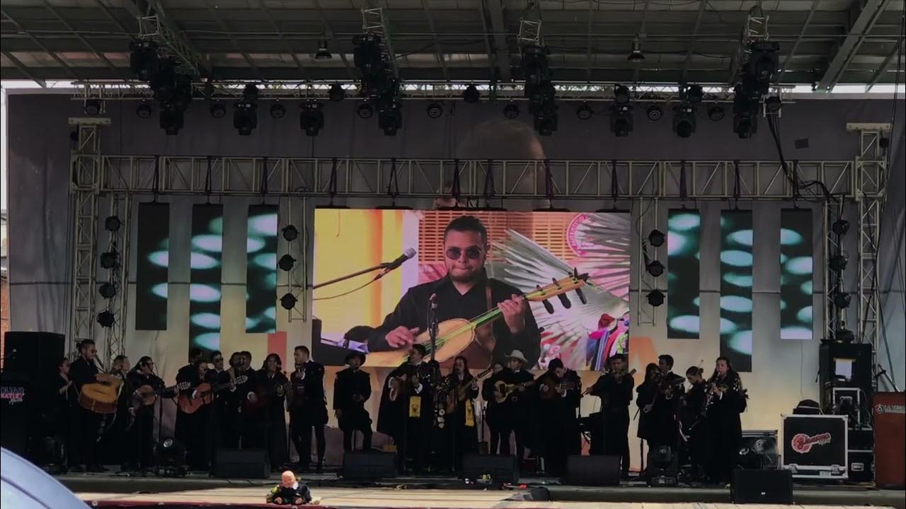 Don Quijote Tuna universitaria de Duitama 2022 YouTube