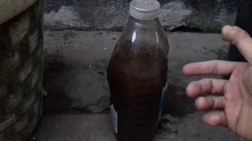 Como fazer adubo líquido com esterco de galinha?