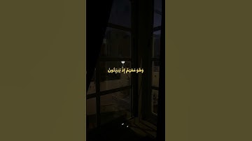 تلاوه خاشعه بصوت الشيخ #علي_جابر #قرآن #السعودية #اكسبلور