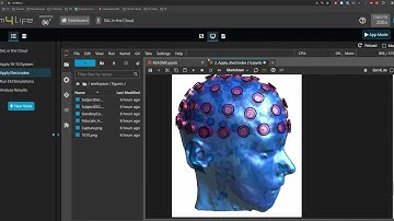 Creation of Sim4Life Pipeline in the Cloud