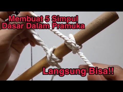 Video: Apa yang bisa saya gunakan untuk menyegel simpul di kayu?