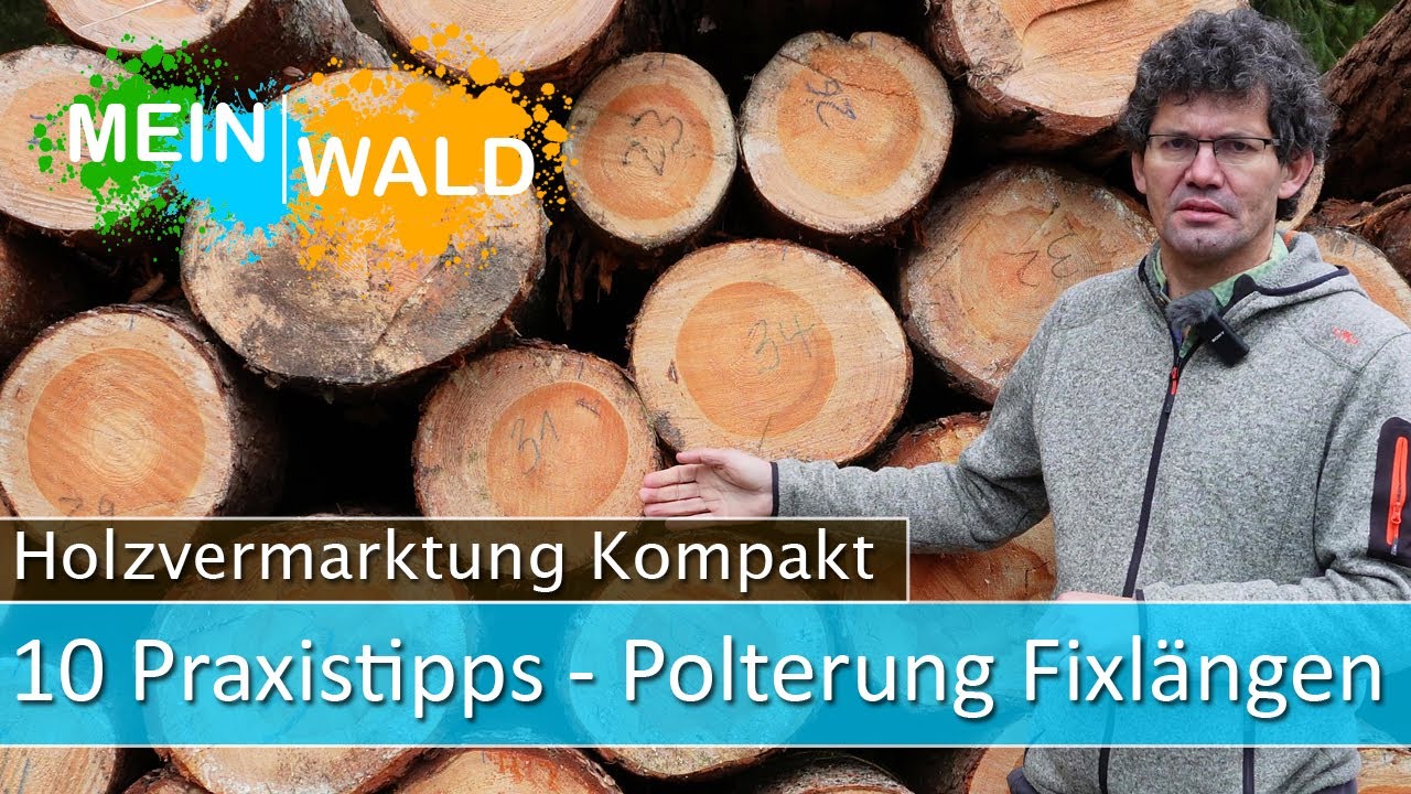 🪵🌲Das mußt du bei der Polterung von Fixlängen beachten