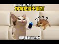 狗狗犯错不用打，这些狗脏话就好使