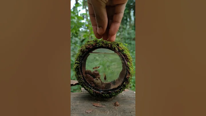 Waste coconut shell craft ideas #shorts #craft #diy #ideas #bestoutofwaste #ecofriendly