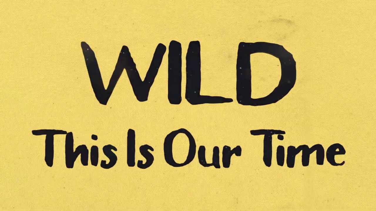 THIS IS OUR TIME (TRADUÇÃO) - Wild (Indie) 