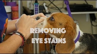 Removing Eye Stains