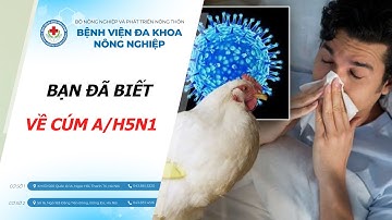 Dấu hiệu cảnh báo bệnh CÚM A/H5N1
