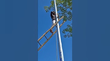 LT Engule Work. #electrician #Lineman #wark   #isolator ##Pin  #technician