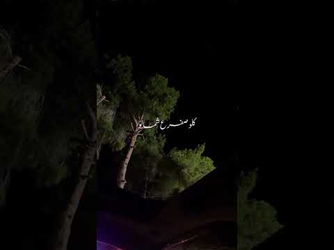 الاخرس وين وين اللي قالو القى متل جمالو