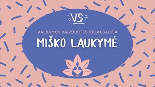 Valdomos vaizduotės relaksacija „Miško laukymė“