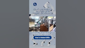 Efficient Case Palletizing, Han