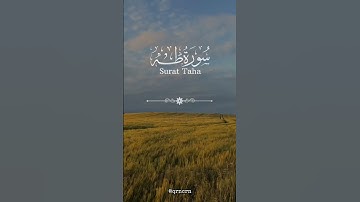 #quran #learnquran #qurankareem #islam #faith #اكسبلور #المصحف #راحة_نفسية #تلاوة_خاشعة #viral #fyp