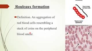 RED CELL MORPHOLOGY  PART 5 (final)_ video