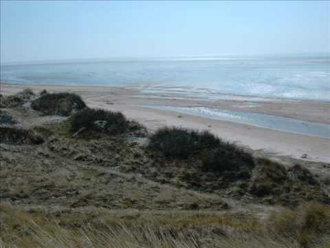 Homage to Joseph Brodsky.wmv contemporary art ตัวอย่าง