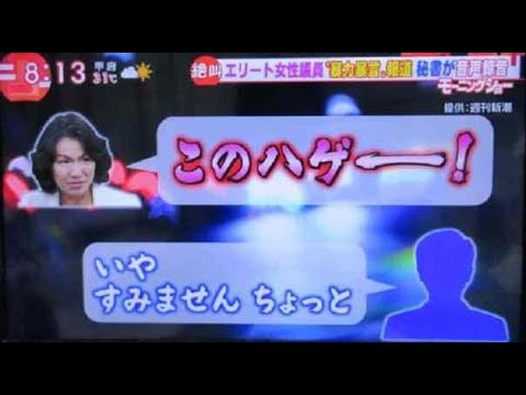 自民 豊田真由子衆院議員が離党届を提出(17/6/23)