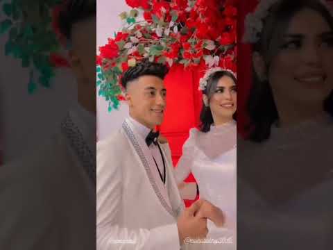 خطوبه حمو القط ومها