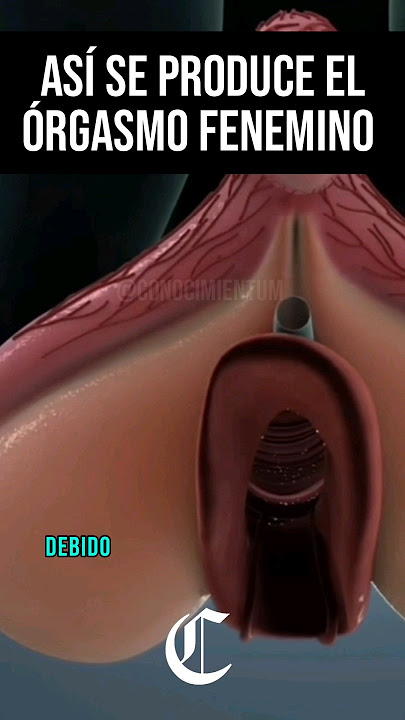 Así se produce el Órgasmo Femenino 🍉🧑🏻‍⚕️ #ciencia #biologia #biologo #biología #curiosidades #datos