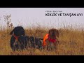 YENİ AV KÖPEĞİM İLE KEKLİK VE TAVŞAN AVI. RABBIT HUNT. Partridge Hunt. ENGLISH POINTER. HUNTING