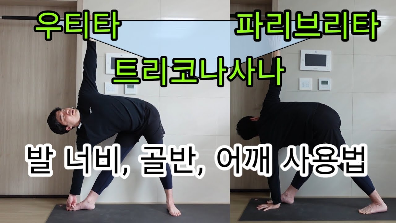 트리코나사나 삼각자세 (우티타, 파리브리타) 초보자부터 중급자까지 수련 팁