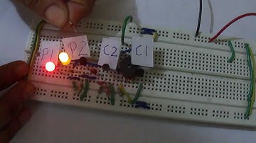 Polarity Continuity Tester