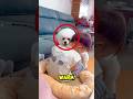 This Dog’s Love Will Melt Your Heart