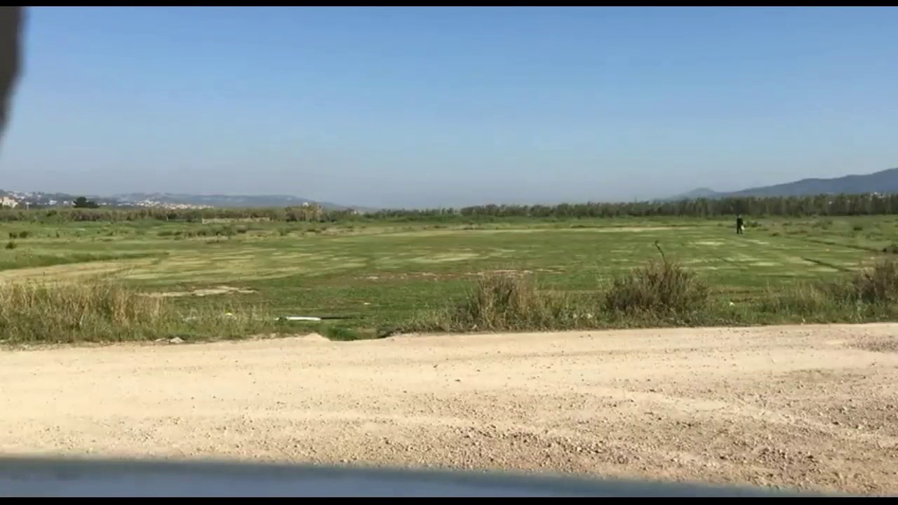 DRONADICTOS en estado puro...