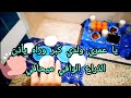 روتين متنوع أجواء رمضانية 