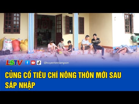 Củng cố tiêu chí nông thôn mới sau sáp nhập