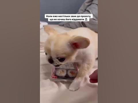 💍 Моє золотце - YouTube