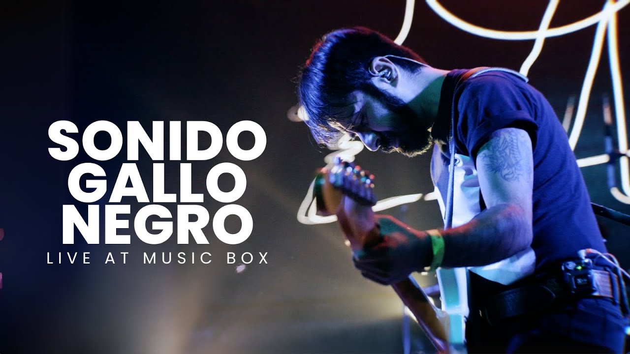 Sonido Gallo Negro - Live at the Music Box | Two Legs Bad VENUES