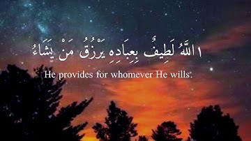 " الله لطيف بعباده " قرآن كريم ♥️ | حالات واتس اب 🥀