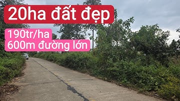 Bán đất điều giá rẻ, đất trồng dâu tằm, cây aen trái, cao su, tiêu, bất động sản đất rẫy