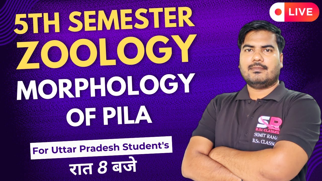 Lt-26 Morphology Of Pila || 5th Semester Zoology Paper - 01 || Sumit Rana Sir